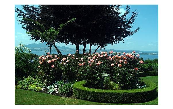 Bellevue Boutique Bed & Breakfast Taupo